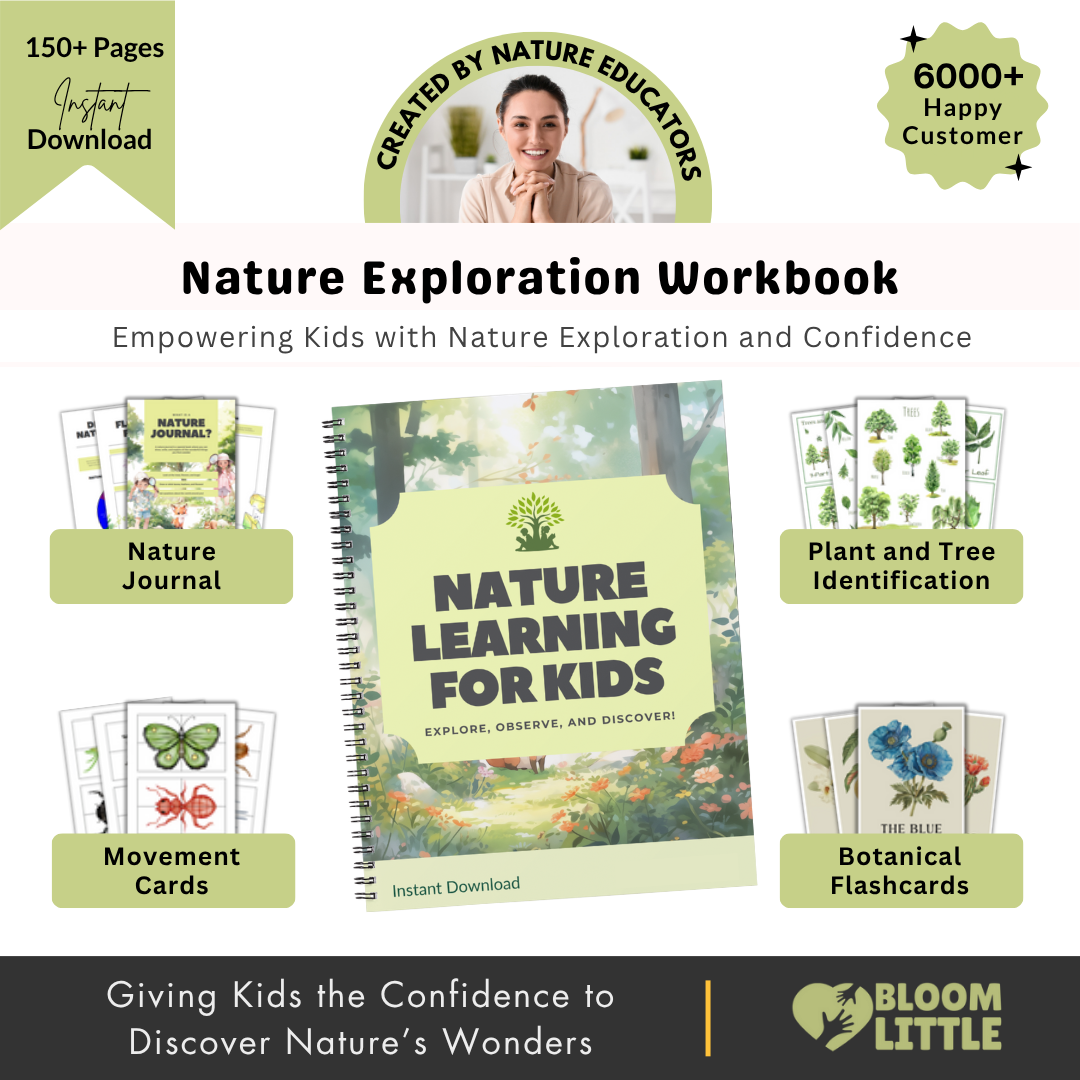 Free Nature Exploration Workbook