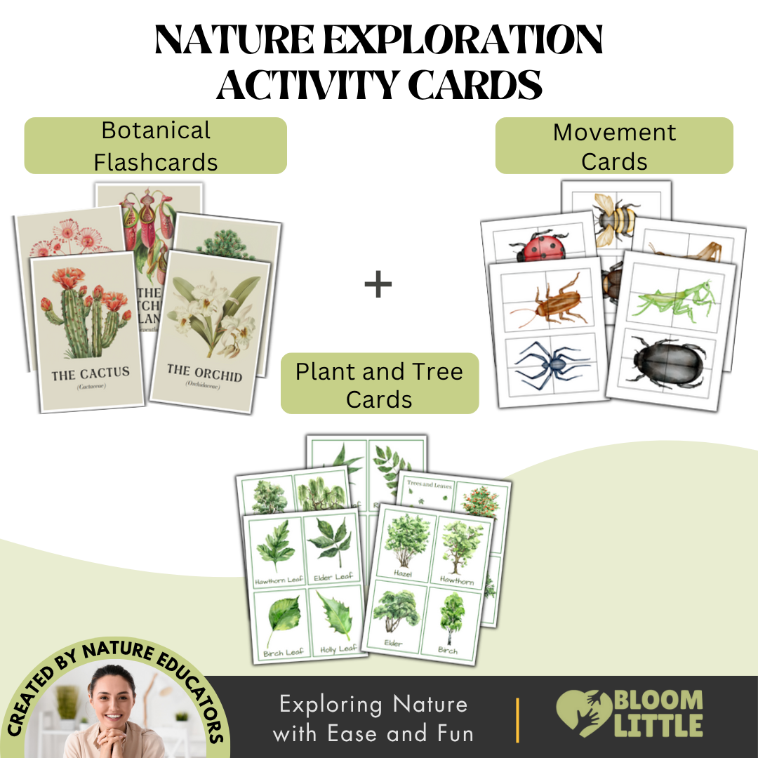 Free Nature Exploration Workbook