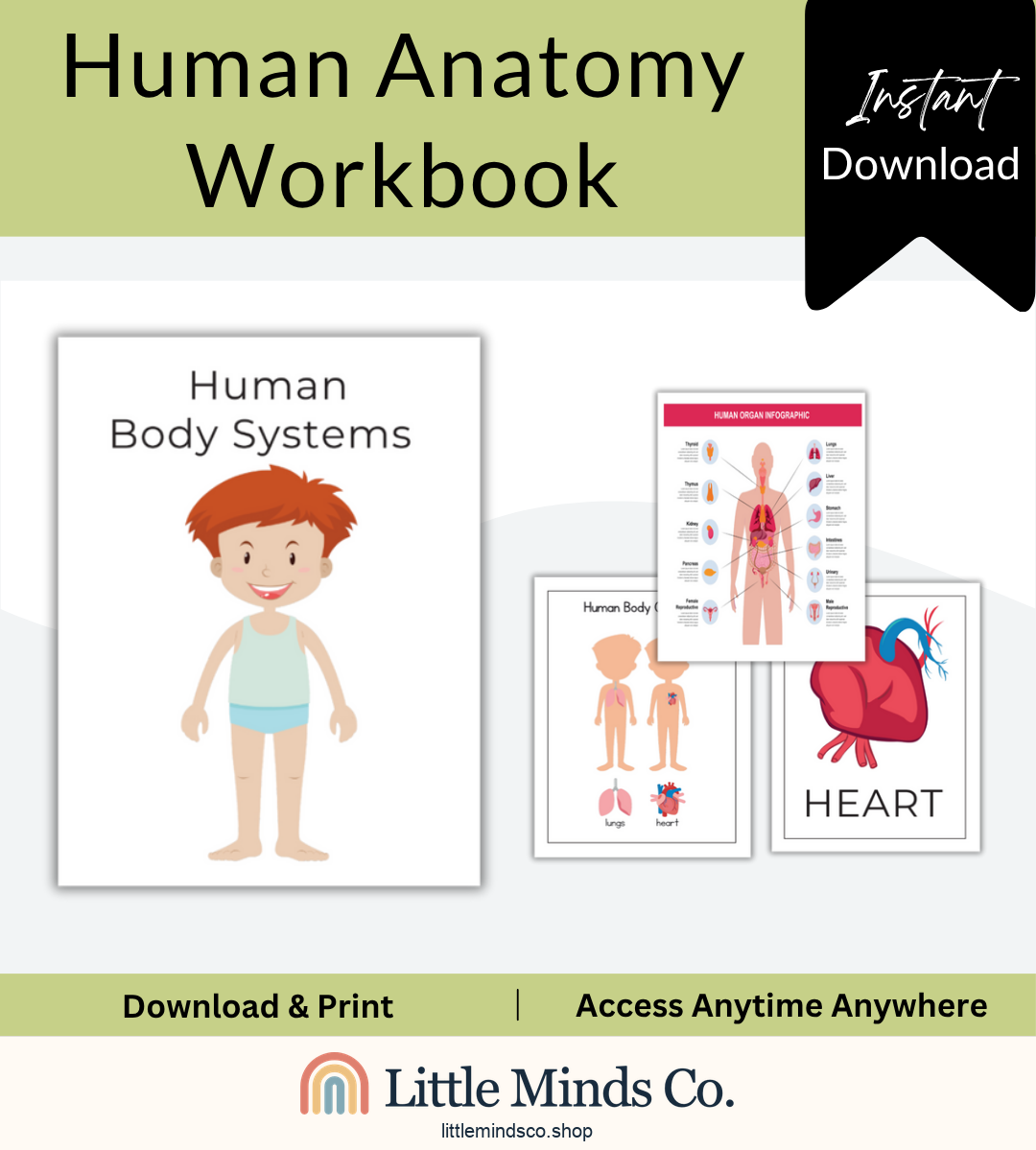 Human Anatomy Workbook
